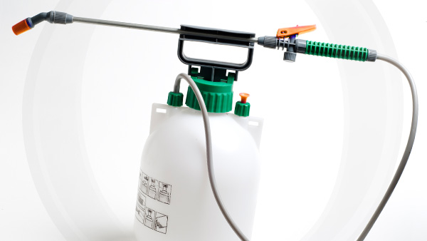 Ray Pest Control - ¡A petición popular! Evaluación inicial + Fumigación ...