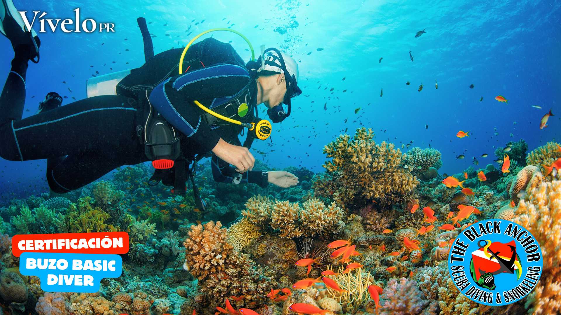 The Black Anchor Scuba Diving & Snorkeling Separa con 29